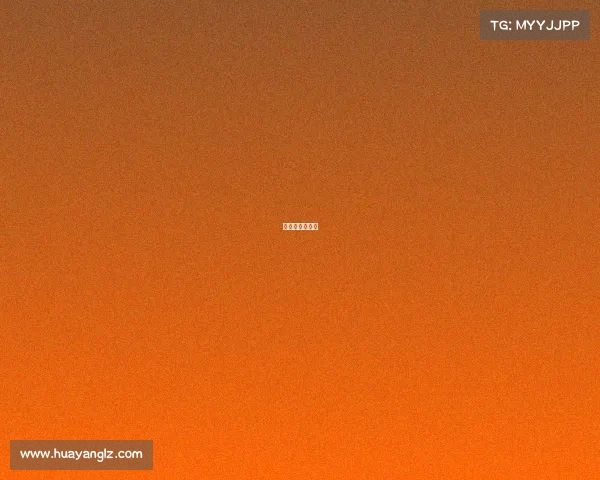 龙舟赛举办情况