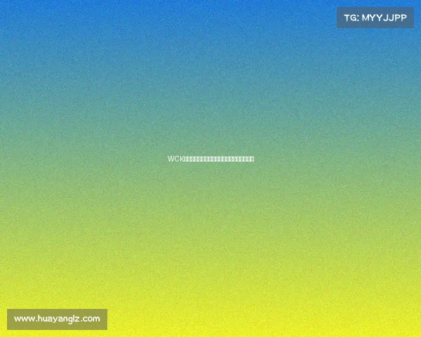 WCK赛事深度揭秘全面解析其定义历史规则与影响 WCK赛事深度揭秘全面解析其定义历史规则与影响