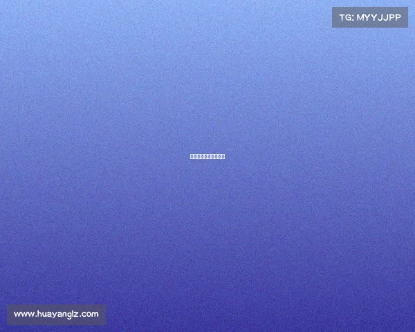 上海篮球队赛事有哪些